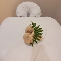 Massage Bed With Poltice